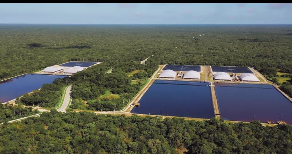 Cumple Kekén compromiso