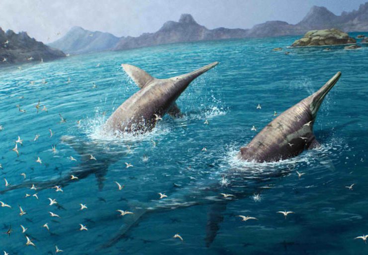 Descubren un salmón prehistórico