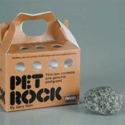 Coreanos adoptan piedras como mascotas