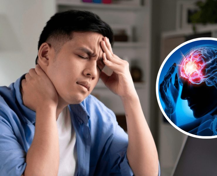 El cerebro se devora a sí mismo