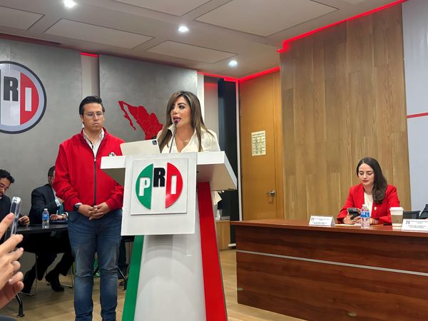 La veracruzana Lorena Piñón se registra para la dirigencia nacional de PRI