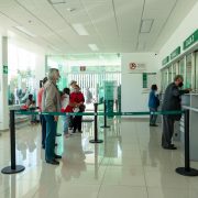 Calendario de pago de pensiones a adultos mayores para el bimestre julio-agosto