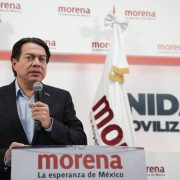 Mario Delgado celebra decisión del TEPJF