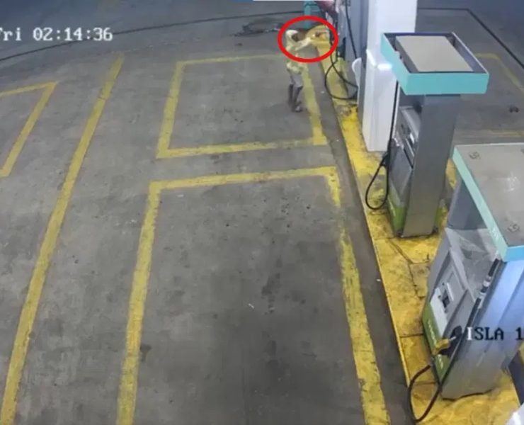 ¡Increíble! Niño de 9 años asalta una gasolinera a mano armada