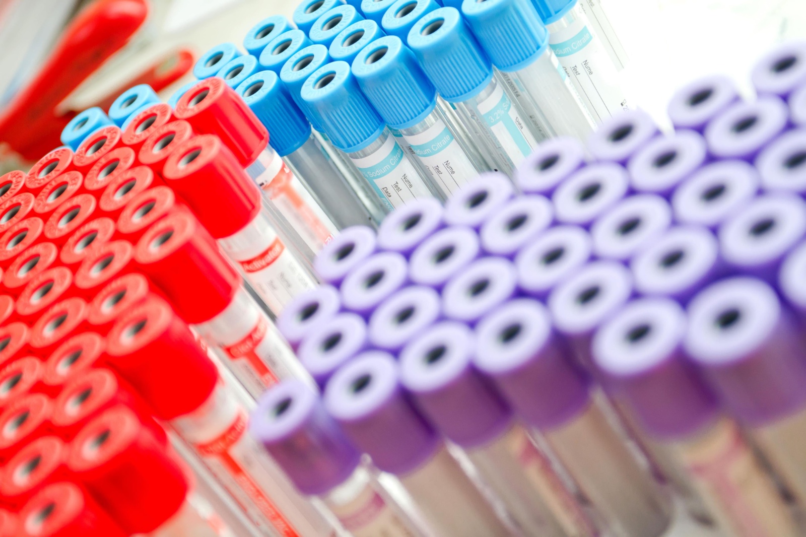 Empresas ligadas al cártel de la sangre