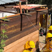blank