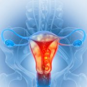 blank